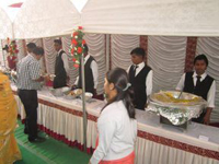 Plate Counter